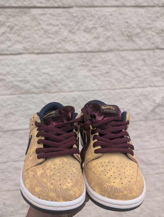 Men\'s Nike SB Dunk Low Pro in the \